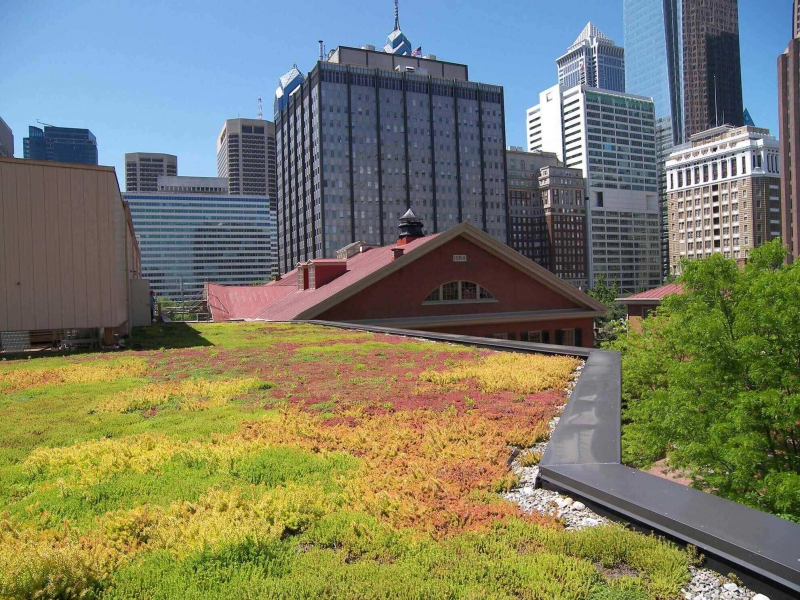 paysagiste-BARJOLS-min_green-roof-portfolio-4